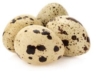 Quails objects to increase power