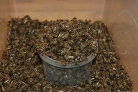 bee was dug for increased power